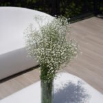 BABY'S BREATH 4