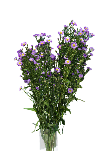 Bouquets Flora traders