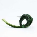 LILY GRASS GREEN 4